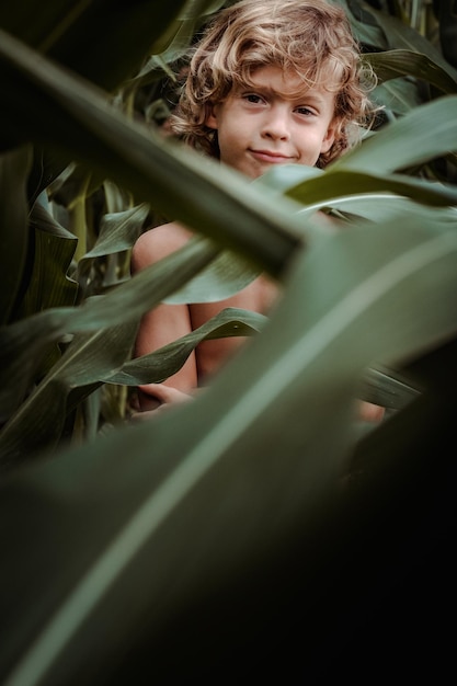 Foto charmoso menino de cabelos loiros com torso nu de pé entre longas folhas verdes de plantas de milho no campo de verão e olhando para a câmera