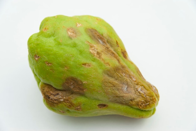 Chayote estropeado por hongos aislado sobre fondo blanco.