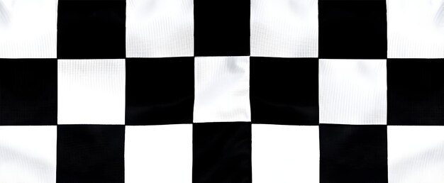 Checkered Flag in Motion