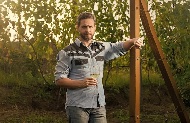 Cheers vinhateiro bebendo viticultor profissional proprietário de vinhedo masculino na fazenda de uvas
