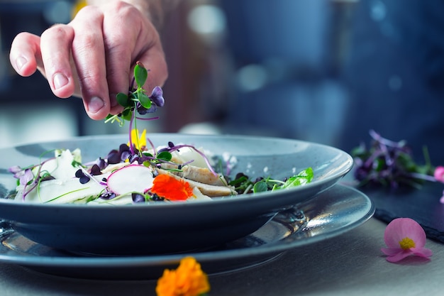 Chef en cocina de hotel o restaurante cocinando, solo manos. Está trabajando en la decoración de microhierbas. Preparación de ensalada de verduras con trozos de carne de pollo a la plancha - solomillo virgen