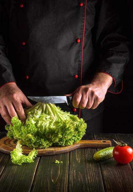 Chef cortando folhas verdes de alface fresca antes de preparar comida vegetariana