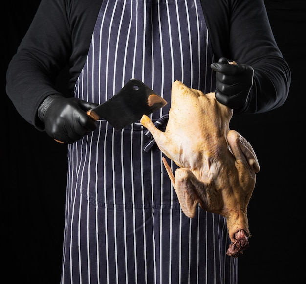 Chef hombre en un delantal azul a rayas y ropa negra se encuentra sobre un fondo negro y sostiene un pato en su mano para cocinar