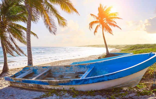 Chen Rio Strand Cozumel Insel in Mexiko