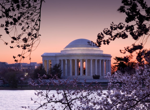 Cherry Blossom e Jefferson Memorial
