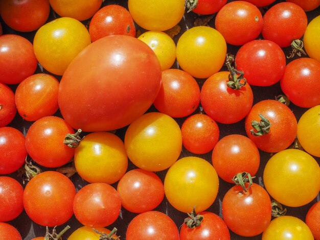 Cherry-Tomaten-Gemüse-Hintergrund