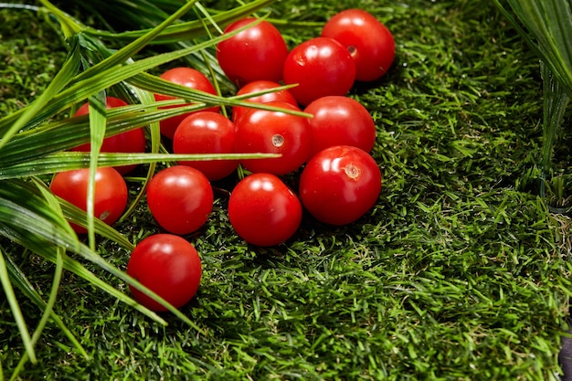 Cherrytomaten auf grünem Gras