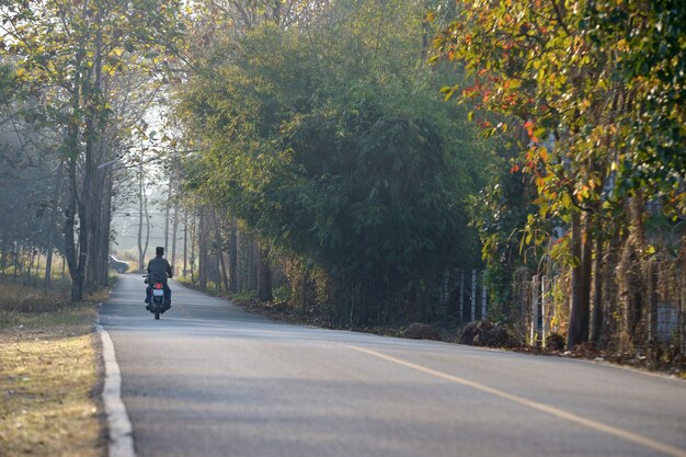 Chiang Mai Road Cuntry