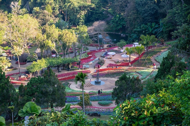 Chiang rai (tailândia) 23 de dezembro de 2023 flores coloridas em mae fah luang jardim chiang rai tailândia iang rai tailândia jardim de flores de inverno frio