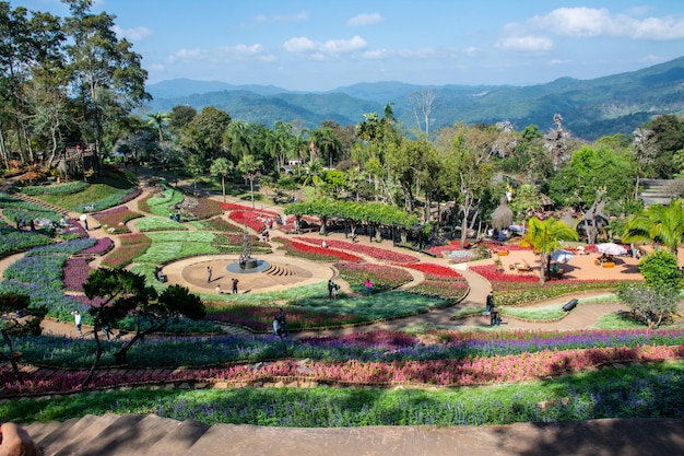 Chiang rai (tailândia) 23 de dezembro de 2023 flores coloridas em mae fah luang jardim chiang rai tailândia iang rai tailândia jardim de flores de inverno frio