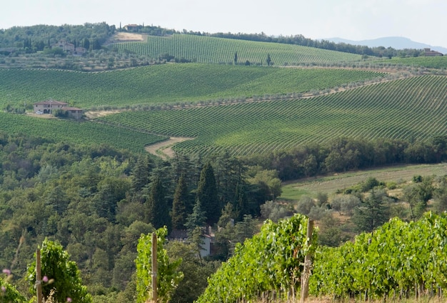 Chianti in der Toskana