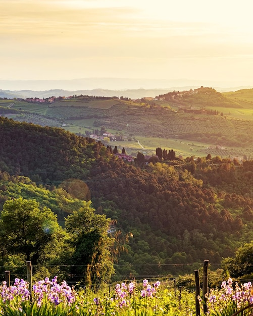 Chianti Itália Rolling Hillside ao pôr do sol