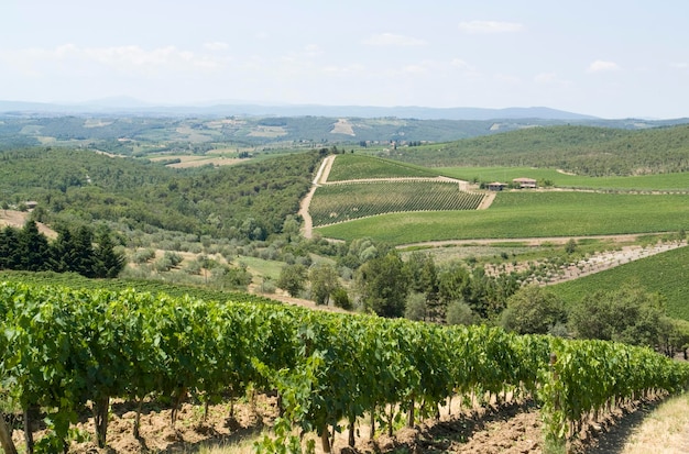 Chianti en la Toscana