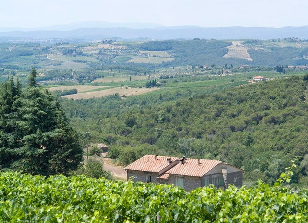 Chianti en la Toscana