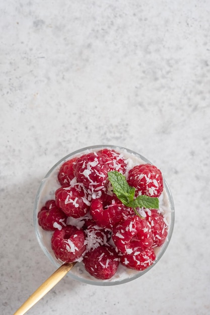 Chiapudding mit Kokosmilch und Himbeere