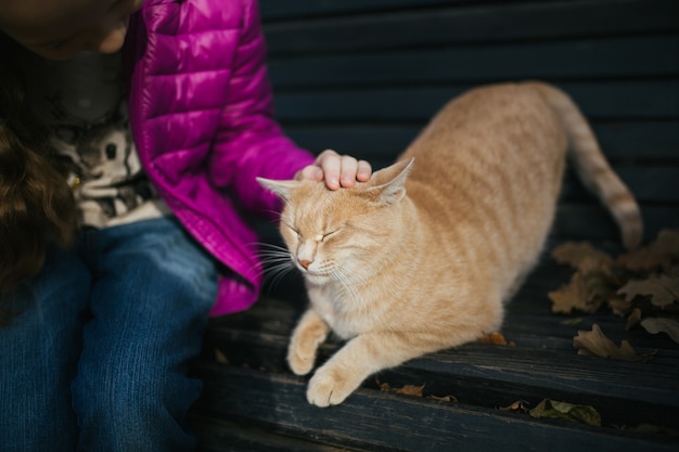 Chica acariciando al gato