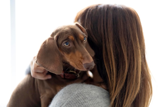 Chica acariciando a un pequeño perro salchicha en casa