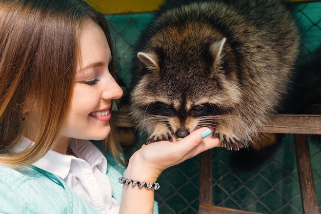 Chica alimenta un mapache de las manos en un parque natural