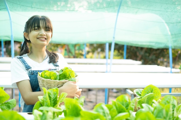 Chica asiática recogiendo verduras en un huerto hidropónico en su casa.