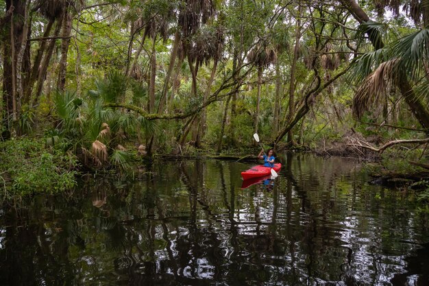 Chica aventurera en kayak en un río cubierto de árboles