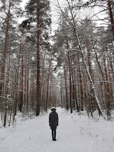 Chica en el bosque de invierno en la carretera en invierno