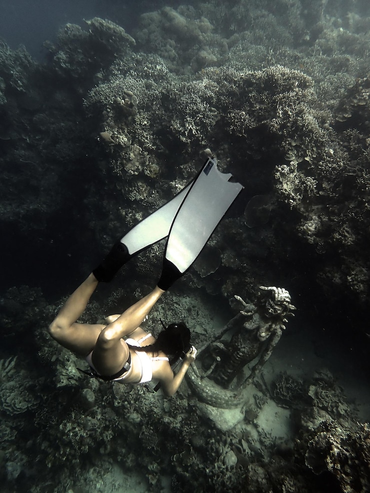 Foto la chica buzo libre se reúne con la medusa