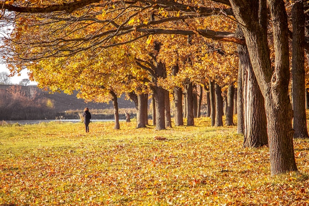 Chica caminando en el bosque de otoño