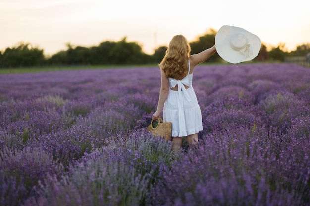 Chica en un campo de lavanda Mujer en un campo de flores de lavanda al atardecer con un vestido blanco Francia Provenza