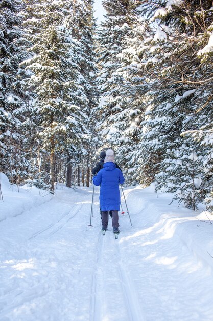 Una chica con una chaqueta azul va a esquiar en un bosque nevado en invierno.