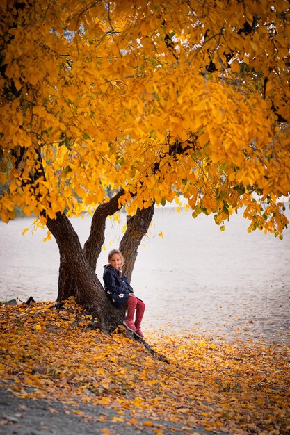 Chica en chaqueta azul está sentada bajo el árbol niño en ropa de abrigo camina por el bosque de otoño cerca de riv ...