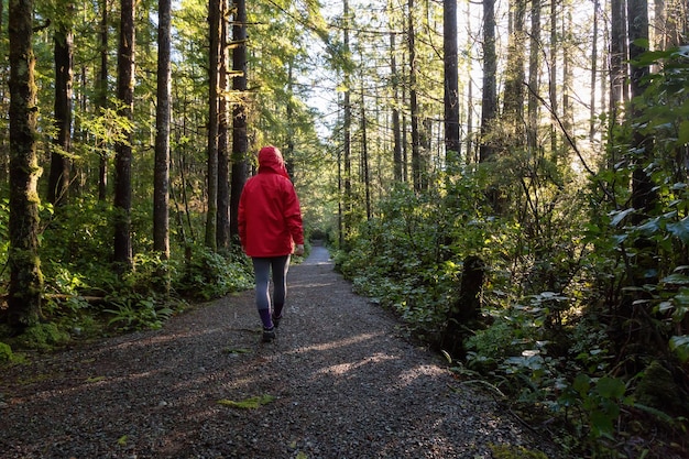 Una chica con una chaqueta roja brillante camina por el bosque durante una vibrante mañana de invierno