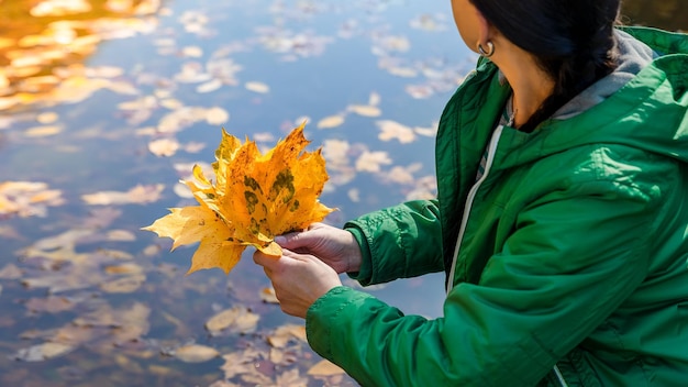 Una chica con una chaqueta verde sostiene hojas amarillas en sus manos.