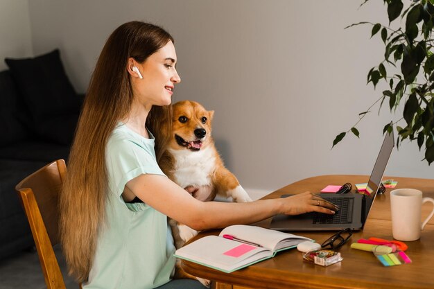 Chica chateando con amigos en línea usando una computadora portátil y mostrando su perro Corgi en casa Estilo de vida con Welsh Corgi Pembroke Conexión de video con la familia Chica feliz y mascota doméstica divirtiéndose juntos