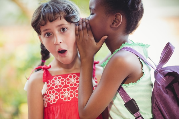 Chica contando un secreto a su amiga