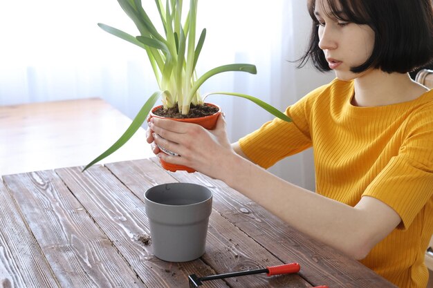 Chica cuida planta de interior