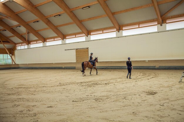 Chica eslovena montando un caballo en una arena ecuestre