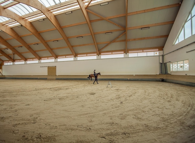 Chica eslovena montando un caballo en una arena ecuestre