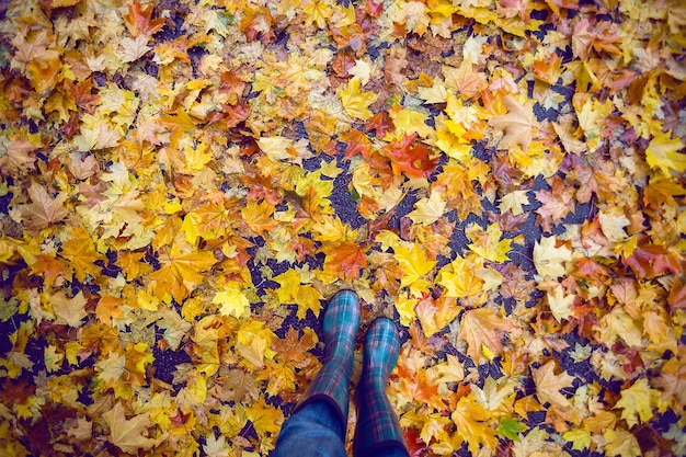 Chica y estado de ánimo de otoño