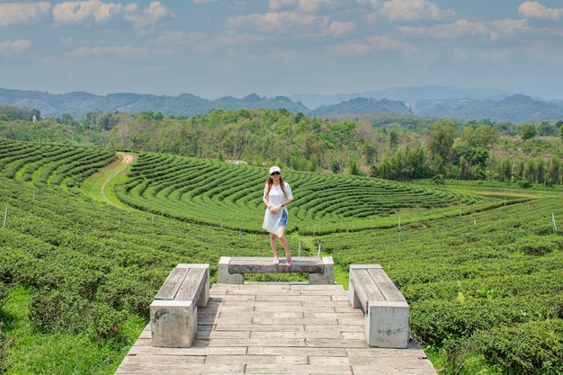 Chica feliz y libre en la montaña en la plantación de téxA