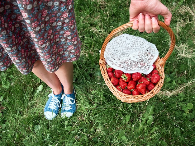 Chica con una fresa de cesta en sus manos en el campo.