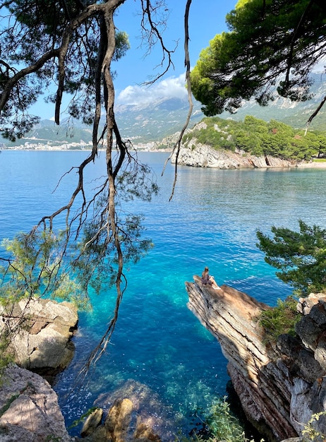 Una chica hermosa lejos en una roca con una vista natural increíble