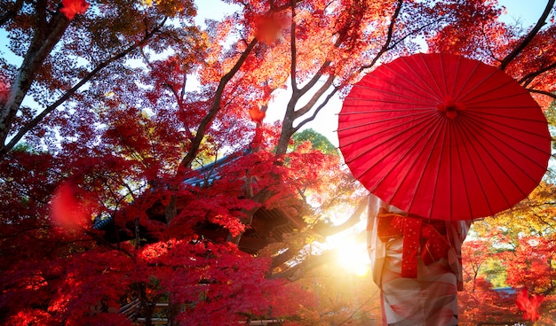 Chica japonesa en kimono vestido tradicional de viaje en otoño rojo park en la ciudad de Kyoto, Japón