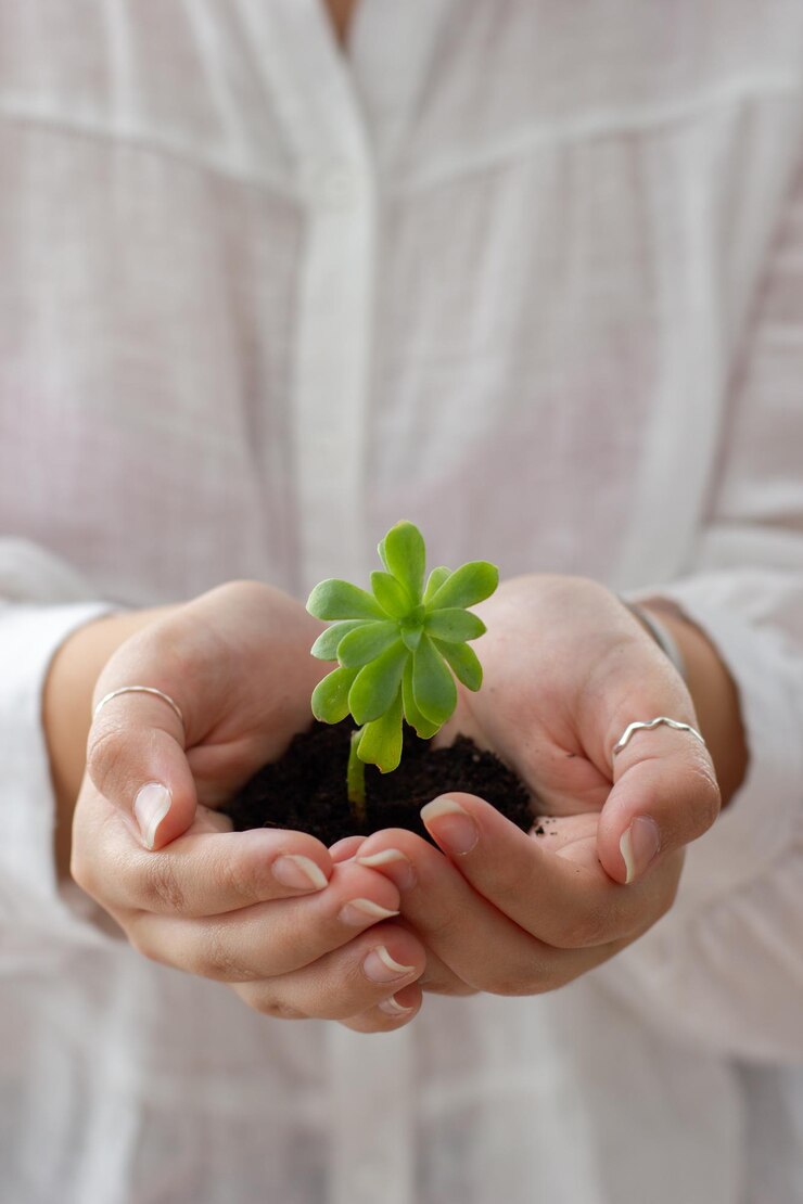 Chica jovem concienciada com o meio ambiente sostiene una pequea planta com tierra en sus manos