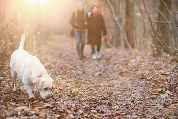 Chica joven en un paseo por el jardín de otoño