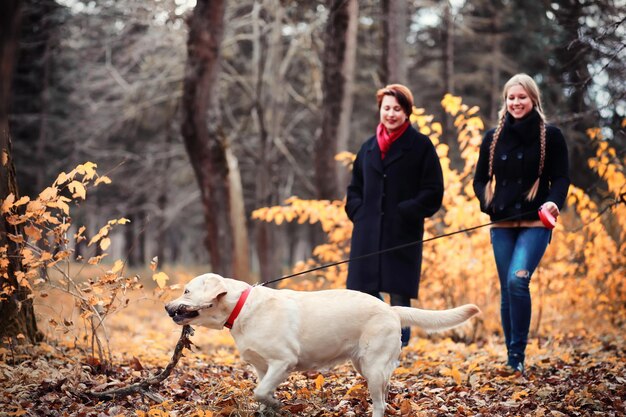 Chica joven en un paseo en el otoño