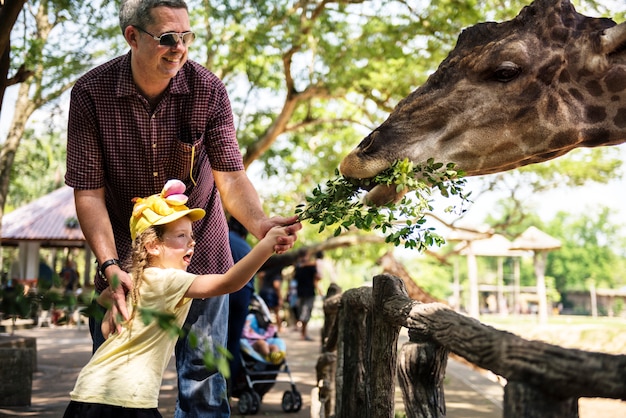 Foto chica joven que alimenta la jirafa en el zoológico