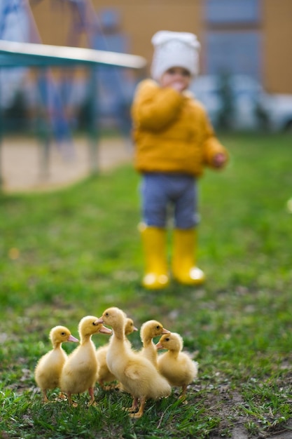 Chica linda con patitos