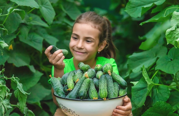 Chica linda con pepino en la granja