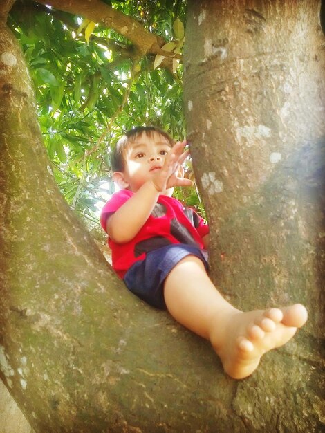 Foto una chica linda sentada en el tronco del árbol