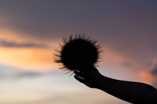 Chica de mano en el fondo del atardecer